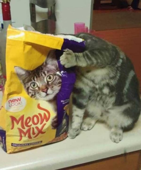 Снимка: klyker.com