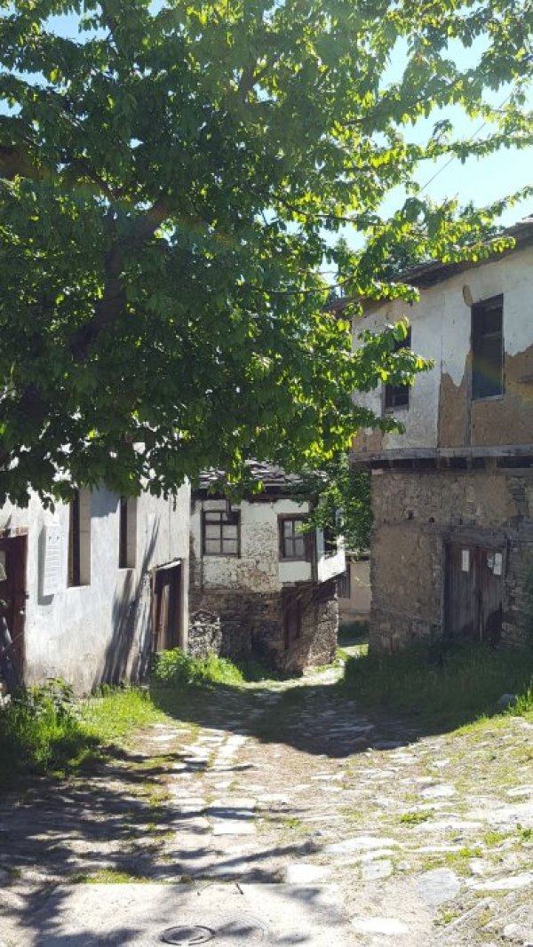 Долен. Снимка: Dnes.bg