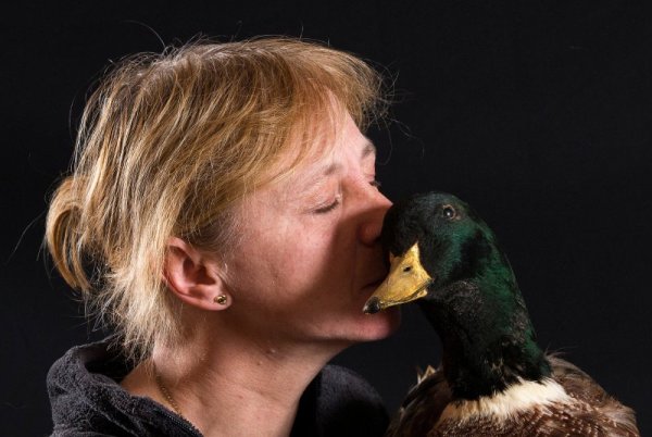 &nbsp;&nbsp;Снимка: Reuters