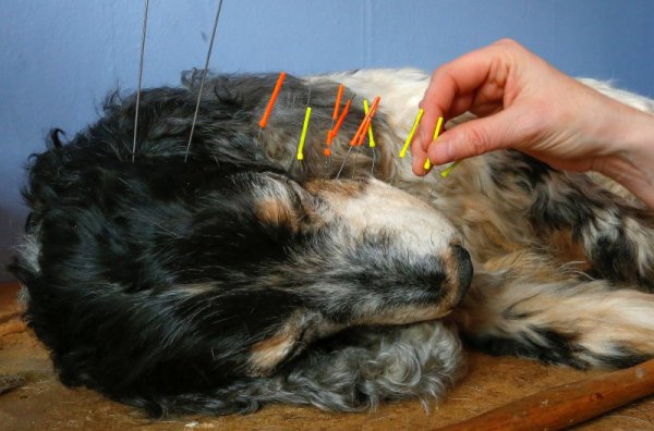 &nbsp;&nbsp;Снимка: Reuters