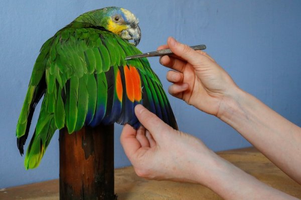 &nbsp;&nbsp;Снимка: Reuters