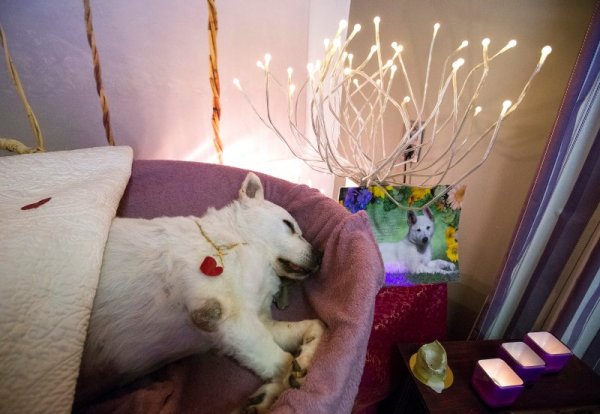 &nbsp;&nbsp;Снимка: Reuters