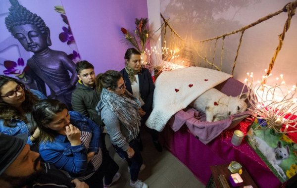 &nbsp;&nbsp;Снимка: Reuters