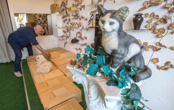 &nbsp;&nbsp;Снимка: Reuters