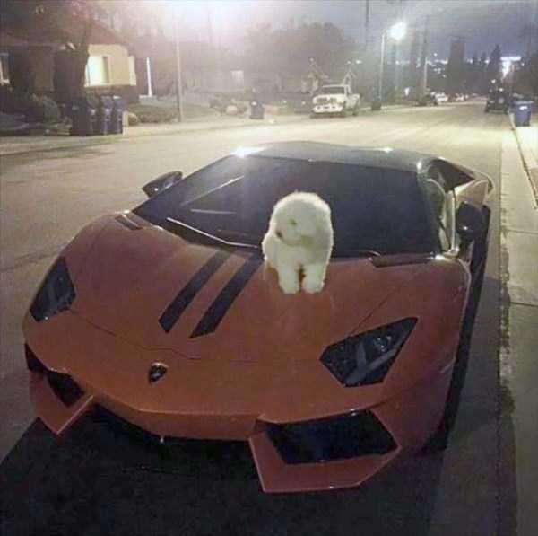 &nbsp;&nbsp;Снимка: instagram