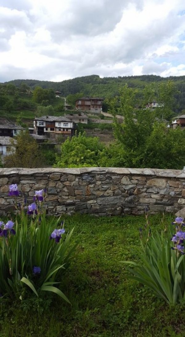 Снимка: Dnes.bg