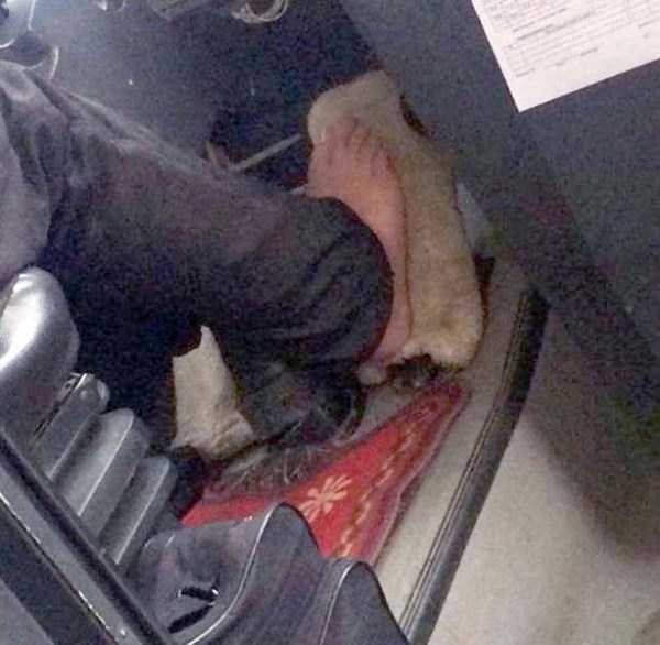 Снимка: Klyker