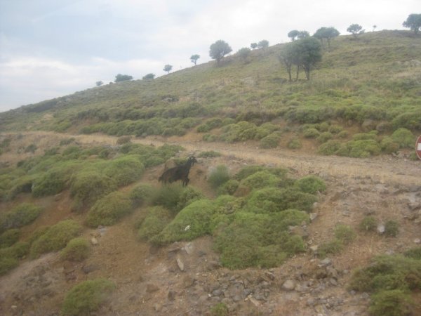 Снимка: Dnes.bg