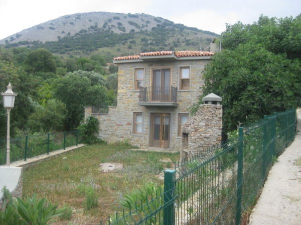 Зейтинли. Снимка: Dnes.bg