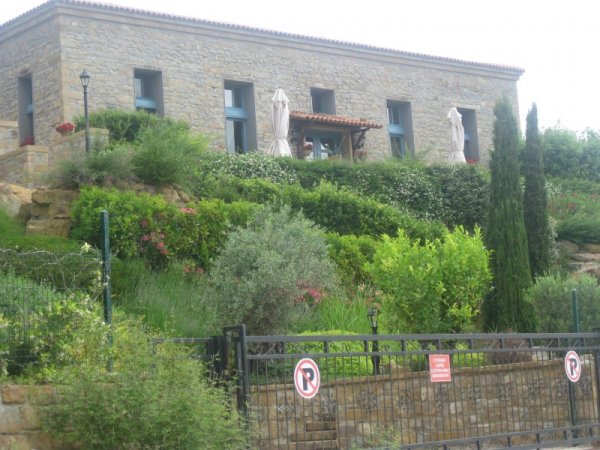 Зейтинли. Снимка: Dnes.bg