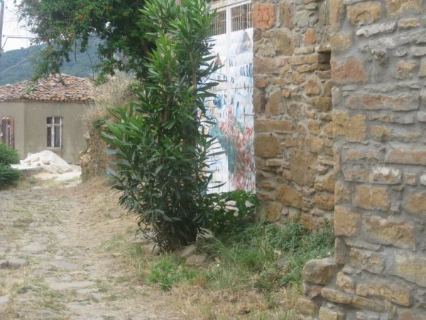 Снимка: Dnes.bg