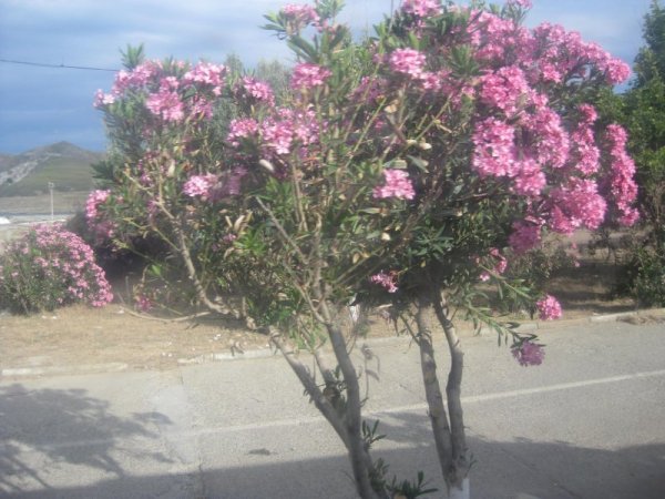 Снимка: Dnes.bg