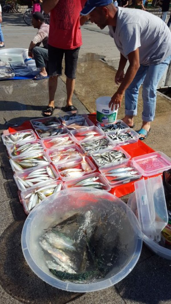 Може да си купите прясна риба буквално на кея. Снимка: Dnes.bg