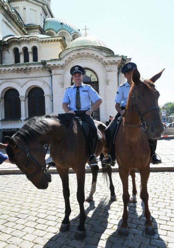 Снимка: Булфото