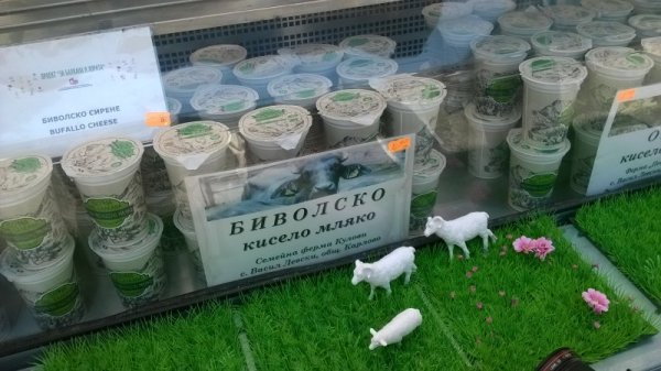 Снимка: Dnes.bg