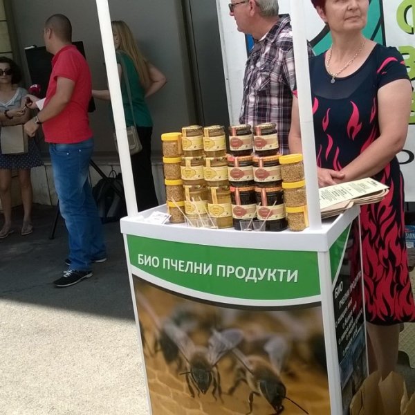 Снимка: Dnes.bg