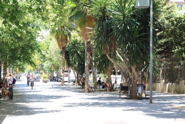 Снимка: Видка Атанасова