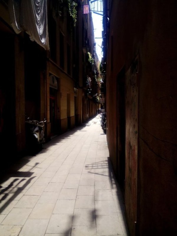 Снимка: Видка Атанасова