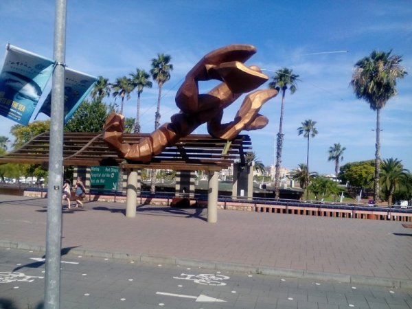 Снимка: Видка Атанасова