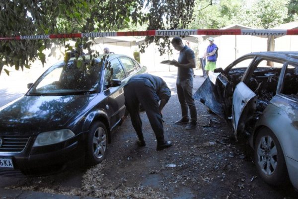 Снимка: Булфото