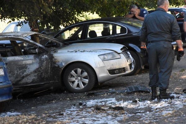 Снимка: Булфото