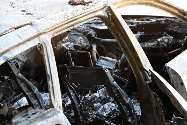 Снимка: Булфото