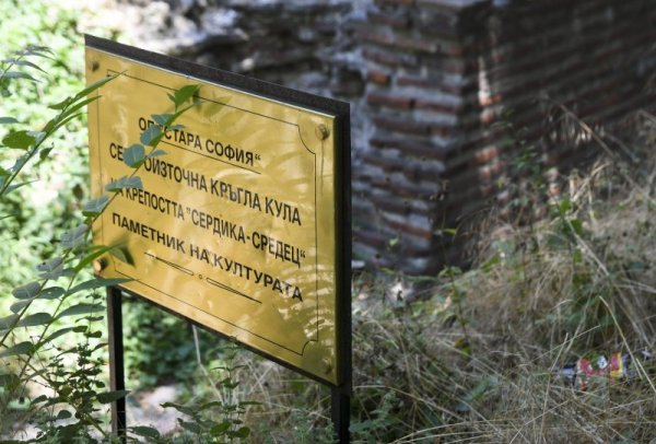 Снимка: Булфото