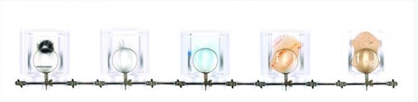 Снимка: Tina Gorjanc