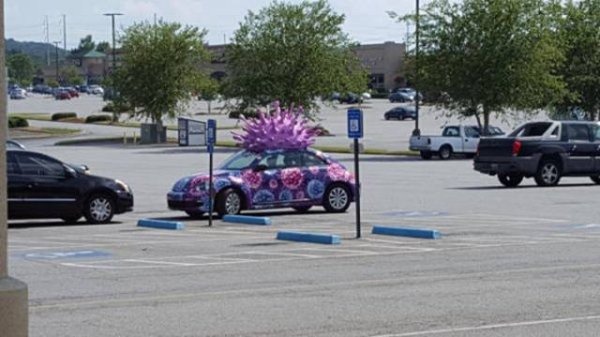 &nbsp;&nbsp;Снимка: izismile