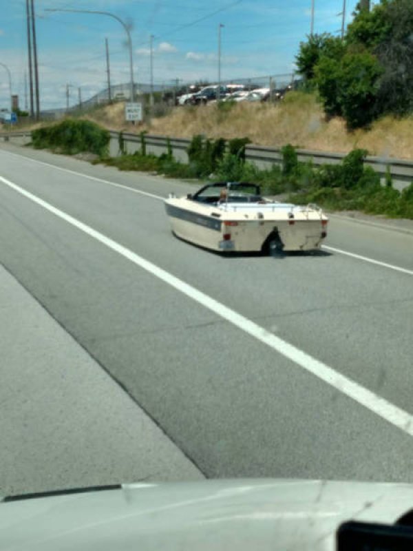 &nbsp;&nbsp;Снимка: izismile