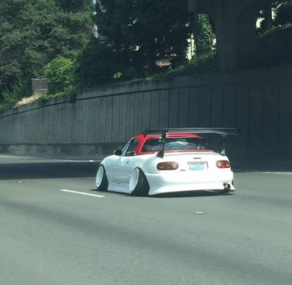 &nbsp;&nbsp;Снимка: izismile