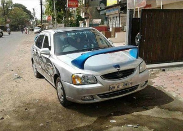 &nbsp;&nbsp;Снимка: izismile