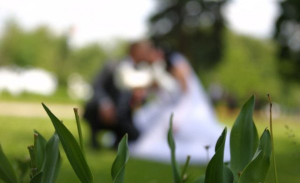 Снимка: kaifolog