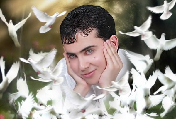 Снимка: kaifolog