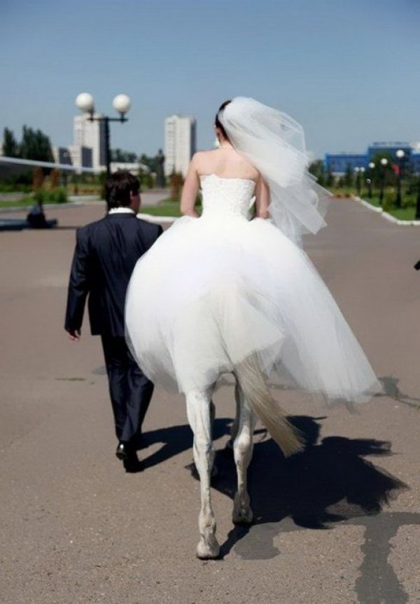 Снимка: Kaifolog