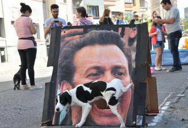 Снимка: Kaifolog