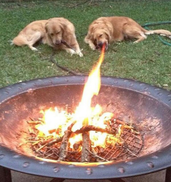 Снимка: Kaifolog