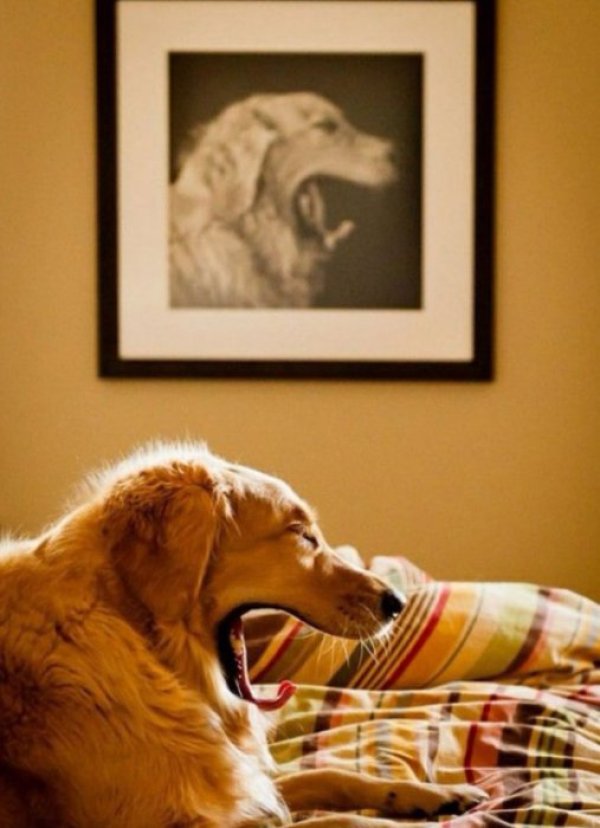 Снимка: Kaifolog