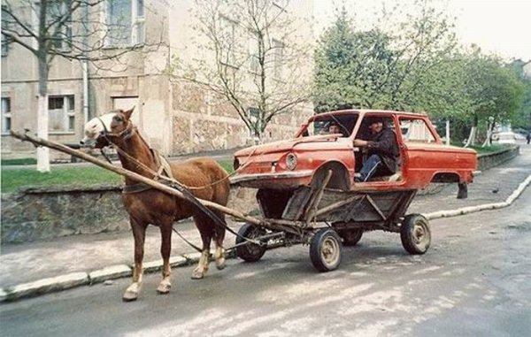 &nbsp;&nbsp;Снимки: fishki.ru