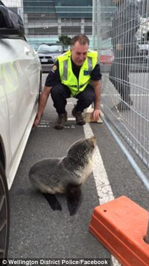 Снимка: NZ Police
