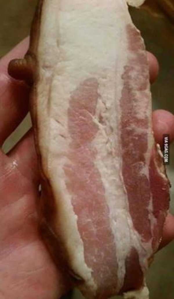 &nbsp;А това хвърли в смут хидяли британци. Сякаш не знаят откъде идва беконът. Снимка: 9gag