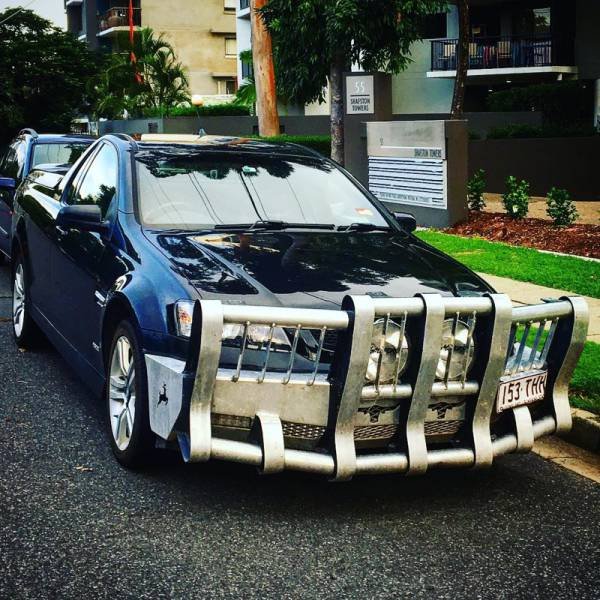 &nbsp;&nbsp;Снимка: izismile