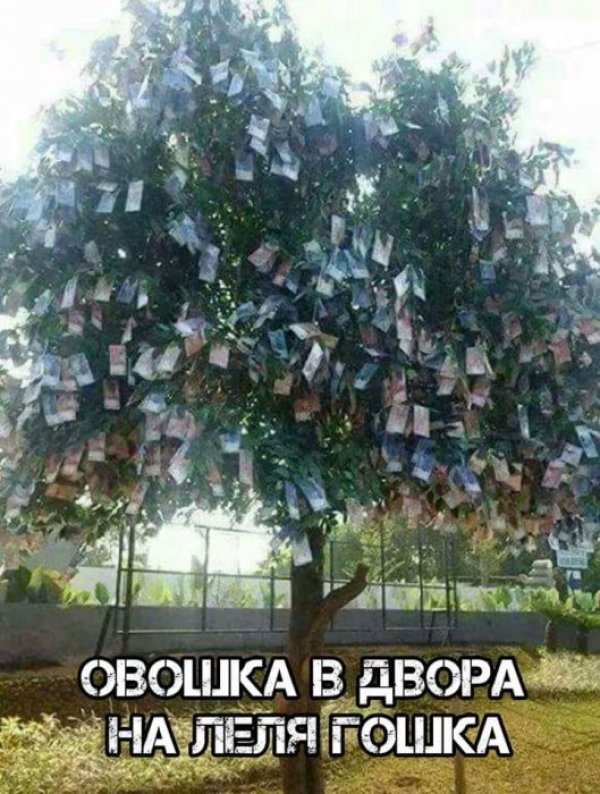 &nbsp;Снимка: Facebook