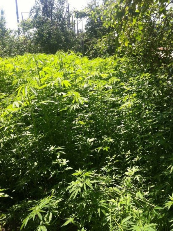 Снимка: Facebook