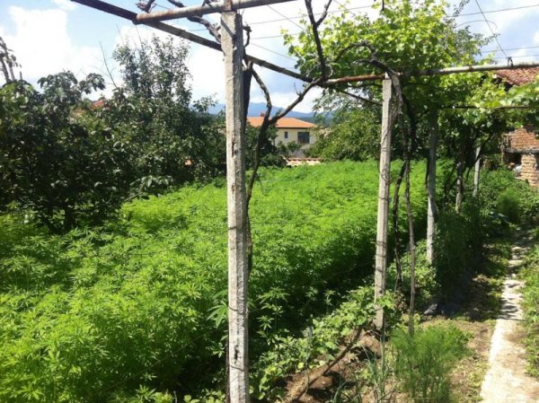 Снимка: Facebook