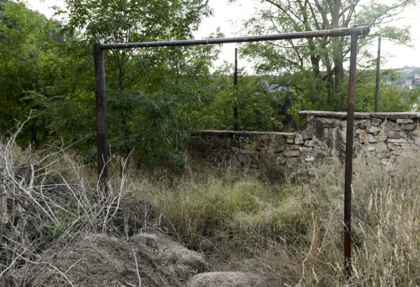 Снимка: Булфото