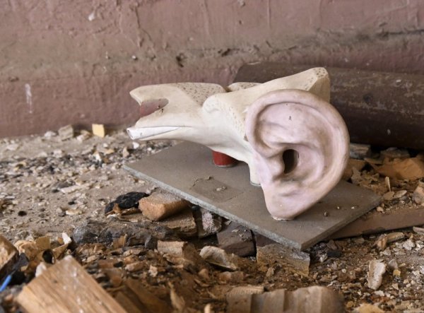 Снимка: Булфото