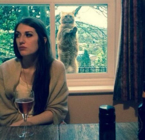 Снимка: kaifolog