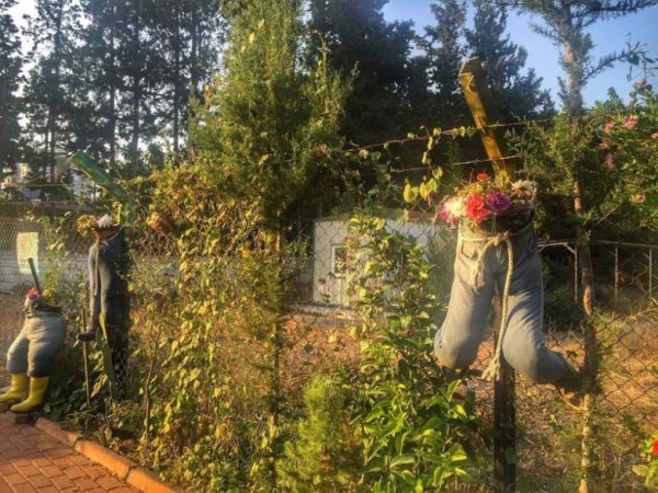 Снимка: klikabol.com/