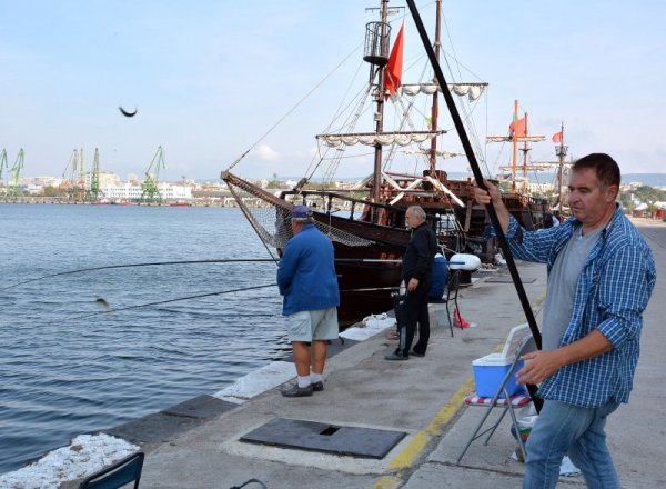 Есенните пасажи от сафрид и лефер навлязоха във варненския залив. Майсторите риболовци се хвалят с добър улов от вкусната риба. Снимка: БТА